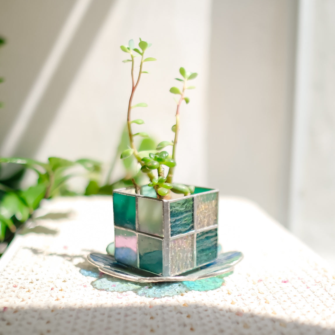 植物盆栽小盆(格子款) Checkered Plant Pot