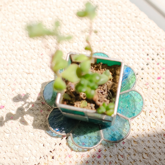 植物盆栽小盆(格子款) Checkered Plant Pot
